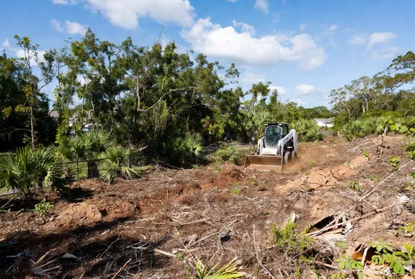 Professional brush and palmetto scrub clearing on a residential lot in Jacksonville, FL