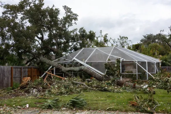  debris removal mandarin jacksonville fl hurricane idalia before after water oaks pool cage