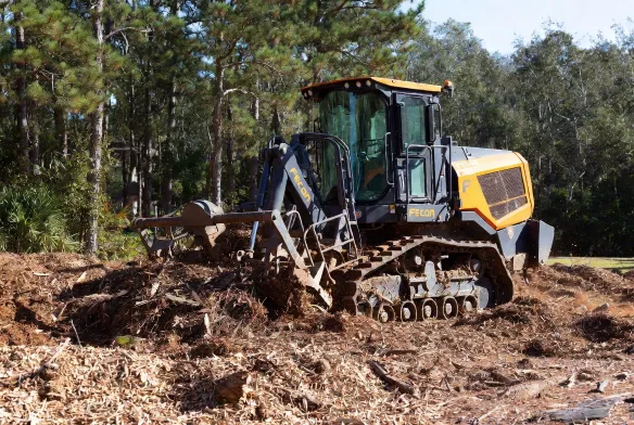 Fecon FTX148 forestry mulcher grinding trees and brush on wooded residential lot in Jacksonville FL
