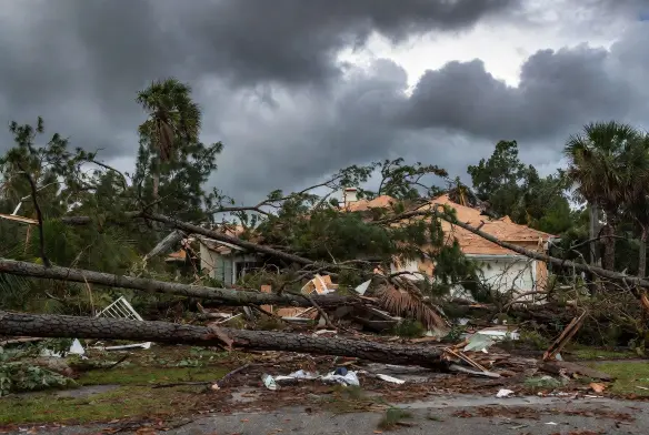  Residential property in Jacksonville Beach, FL, covered in hurricane storm debris and fallen trees before emergency clearing