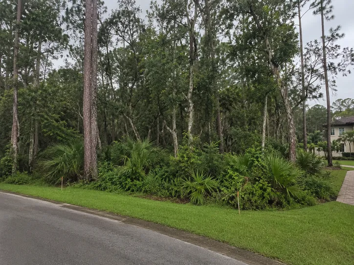 Before multi-lot subdivision land clearing Ponte Vedra Florida dense live oak pine palmetto scrub residential development site