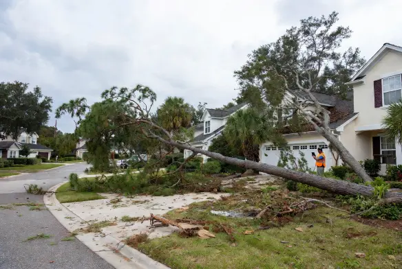 🖼️ Alt Text:
Storm damage scene in Orange Park Clay County Florida showing fallen pine tree blocking driveway and oak tree resting on roof, with debris scattered across residential HOA neighborhood