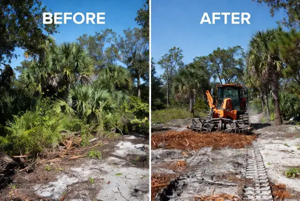 Before forestry mulching — overgrown residential lot Jacksonville FL with dense palmetto scrub, water oak and Chinese tallow
