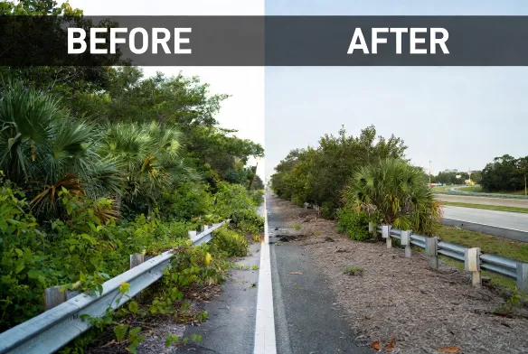 FDOT right of way clearing before and after Northside
Jacksonville FL I-95 corridor 8 acres 18 foot clearance
standard full compliance documentation