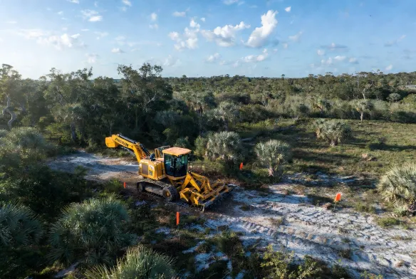 Land clearing for septic systems Jacksonville FL — Fecon mulcher with orange drainfield survey flags on sandy Duval County residential lot