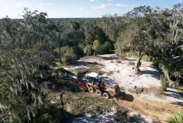 Land clearing Mandarin Jacksonville FL — aerial view of professional equipment clearing live oak lot on Lakeland fine sand soil