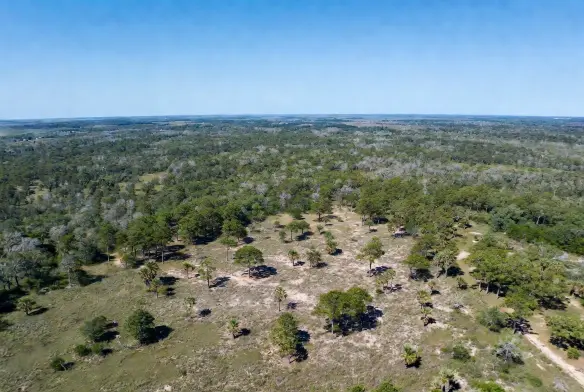 Cleared land parcel in Northeast Florida — Jacksonville, Orange Park, St. Augustine service area