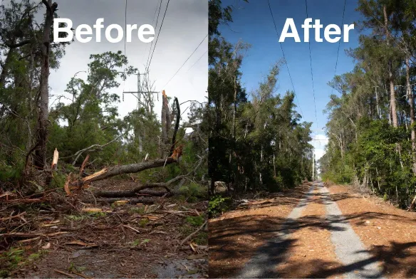 Right of way clearing before and after Mandarin
Jacksonville FL utility corridor hurricane Ian storm
debris removal 400 linear feet same day access restored